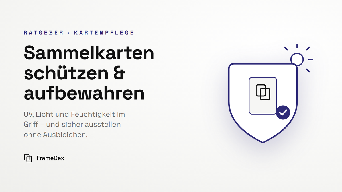 Sammelkarten schützen und aufbewahren: So bleiben Wert und Farben erhalten